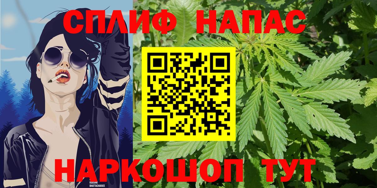 Канабис Amnesia  МАРИХУАНА планчик  Кириши  Вход с VPN 